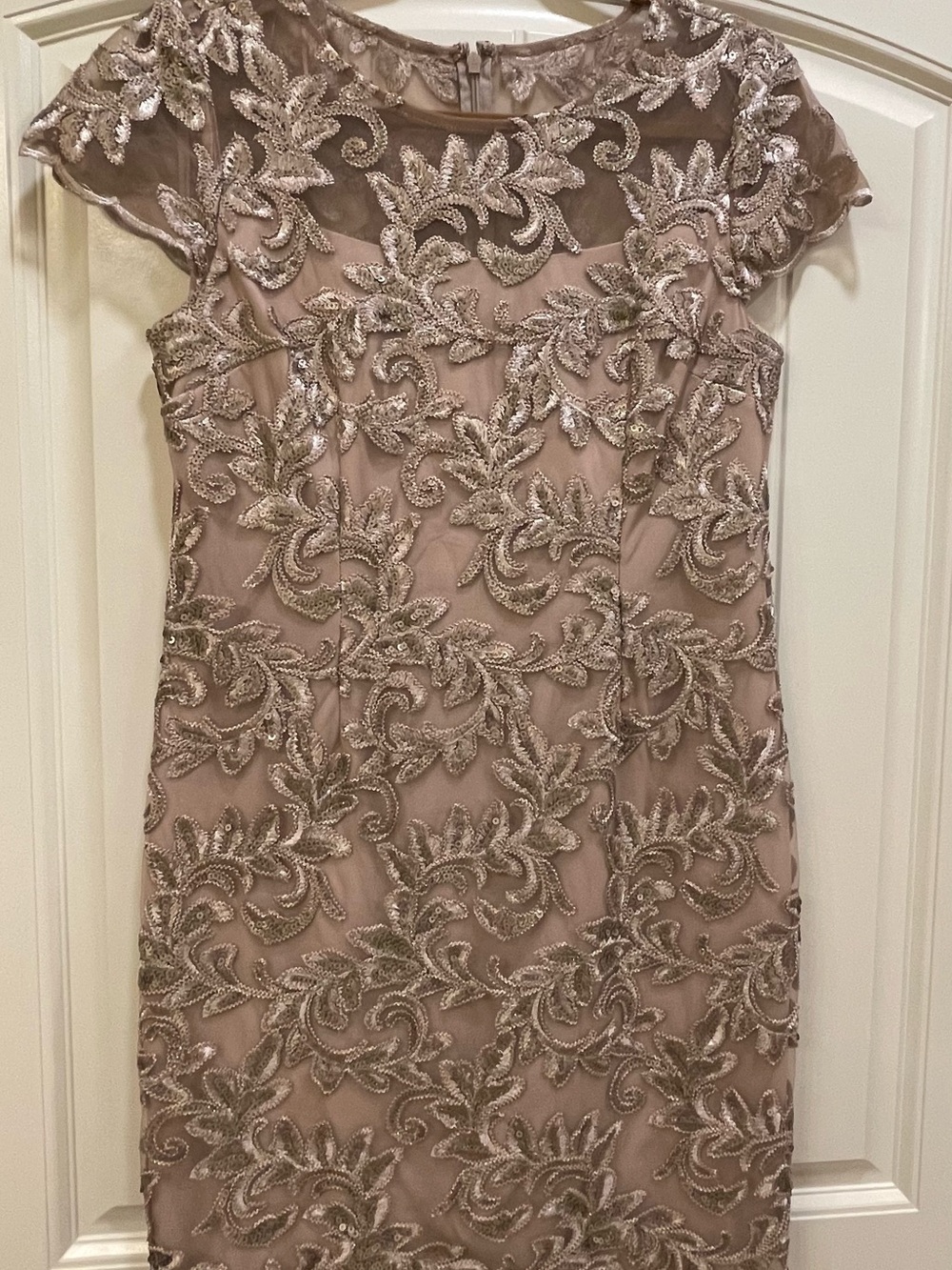 Alex Evenings Dusty Rose Embroidered Cap-Sleeve Cocktail Dress